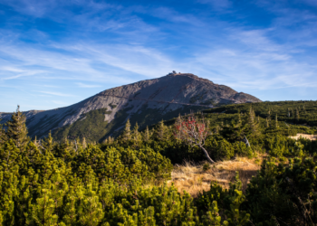 Śnieżka, najwyższy szczyt Karkonoszy
