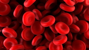 Cząsteczki grupy krwi